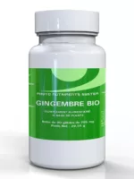 gingembre-bio copy